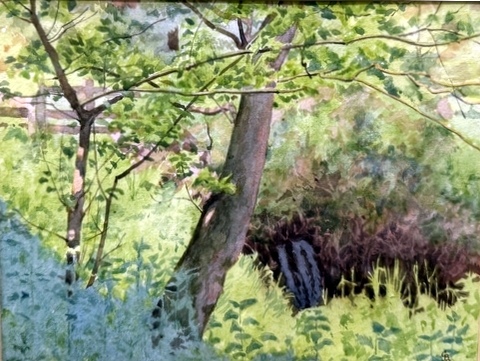 Summer Glade