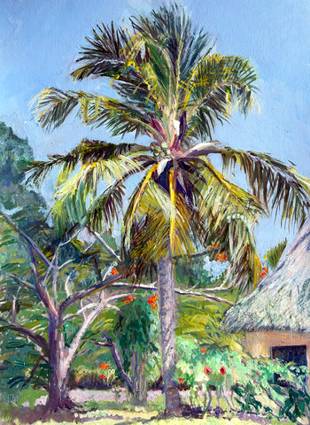 Palm beside the Banda