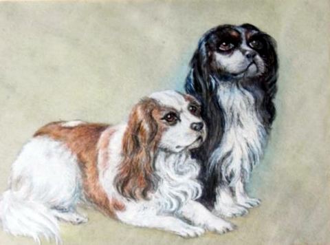 Cavalier King Charles Spaniels