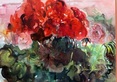 Geraniums