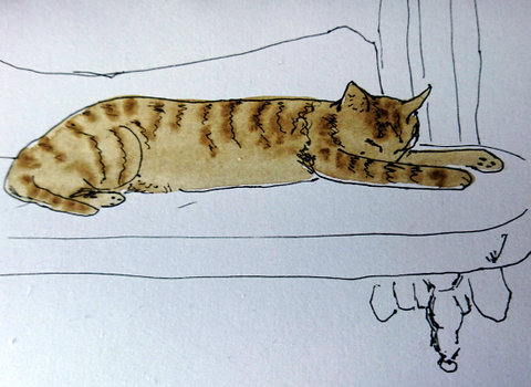 Our Cat II