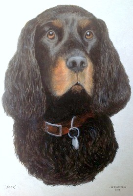 Jock - The Gordon Setter