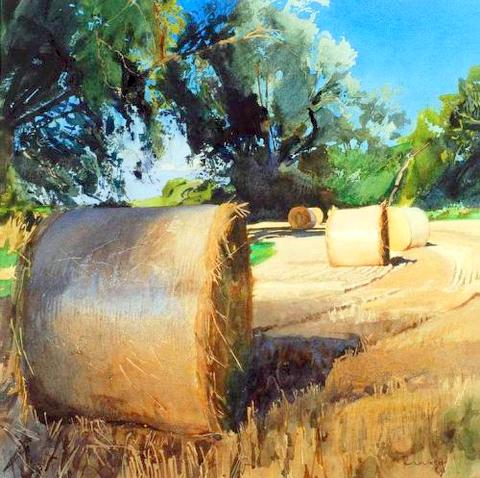 Straw Bales and Willows