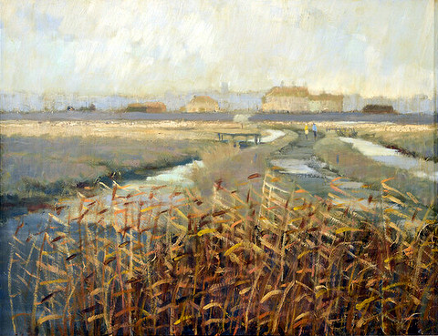 Southwold Marshes