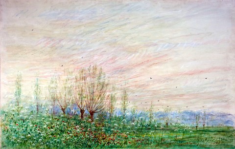 Pollarded trees and Poppies