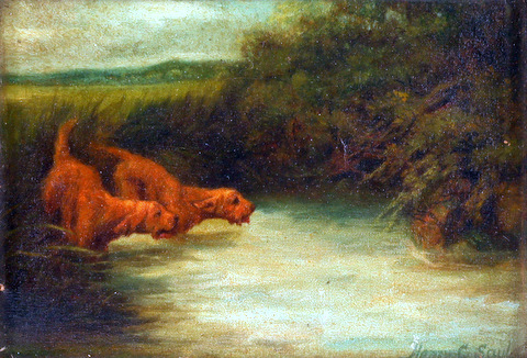 Hunting Dogs