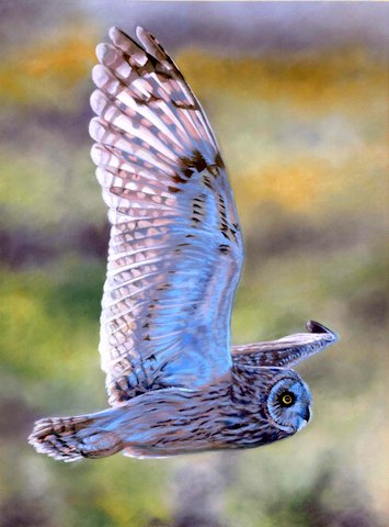 Passing Over