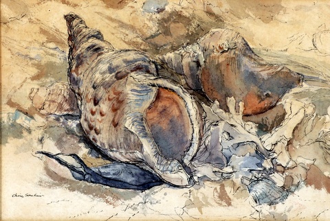 Shells