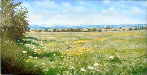 Summer Meadow