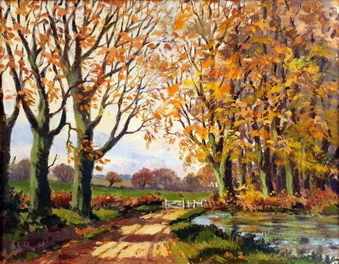 Rural Landscape