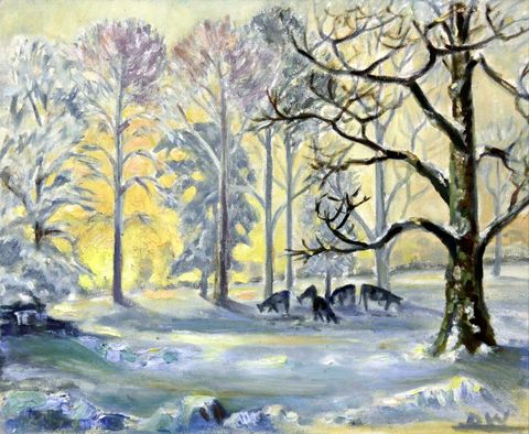 Snowy Forest Scene