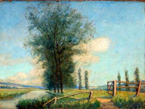 Black Poplars