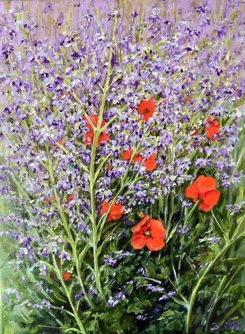 Poppies