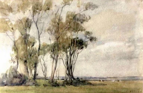 Old Trees Walberswick, Suffolk