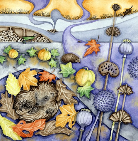 Hedgehog Hideaway