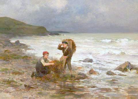 Seaweed Gatherers