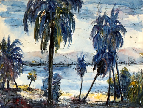 Palms