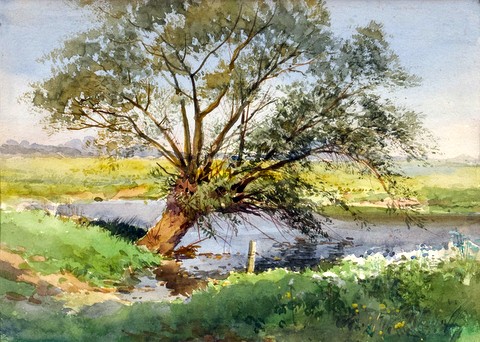 Willow by Dewpond