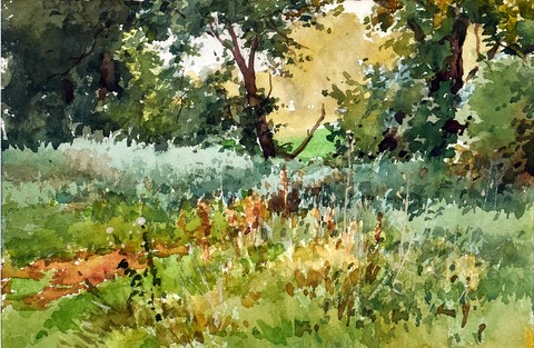 Suffolk Woodland