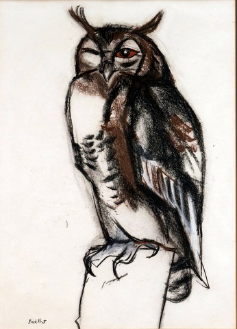 Eagle Owl blinking