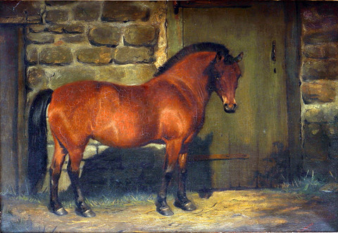 Portrait of a Brown Pony