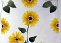 The Bedford collection of watercolours of wildflowers