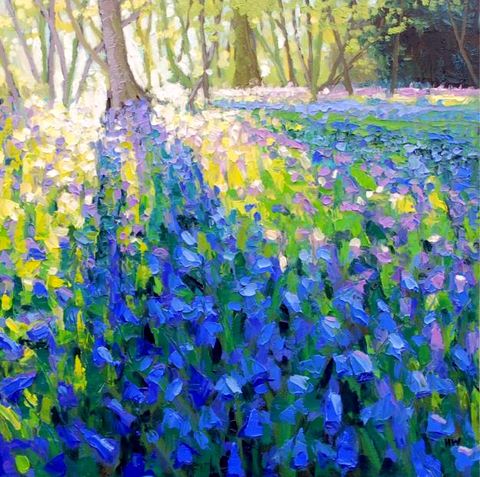 Forest Blue