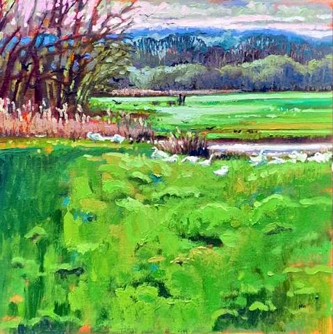 Water Meadows Walk