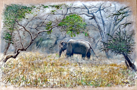 Elephant In The Mist