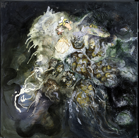 Cephalopod