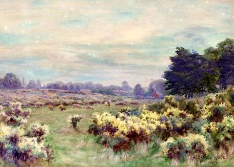 Suffolk Landscape