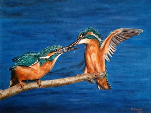 Kingfishers