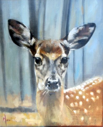 Fallow Deer