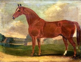 Chestnut Horse in a Landscape