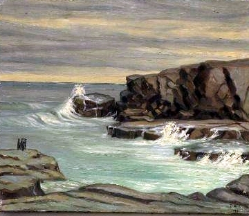 Shags on Rocks
