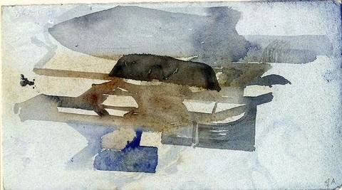 Curragh and Rocks