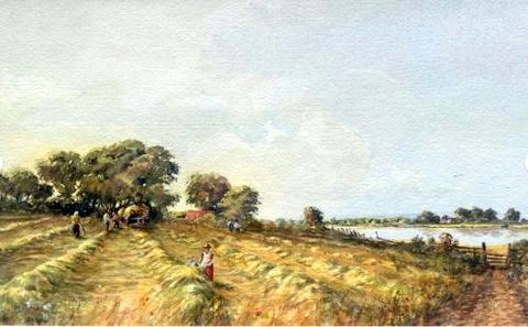 Haymaking in Essex