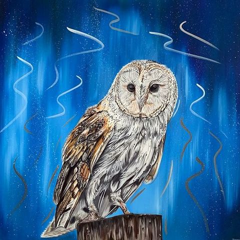 Barn Owl