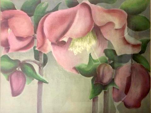 Hellebores
