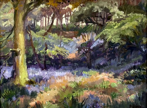 Bluebell Wood