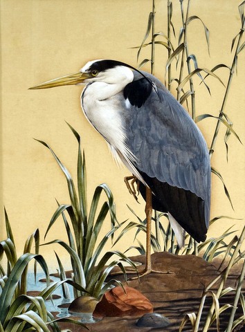 A Heron