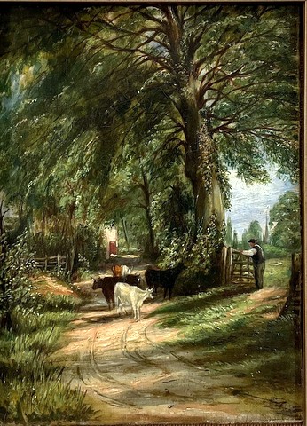 Cattle in a Lane