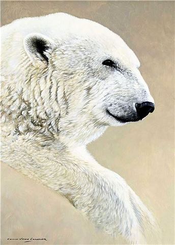 Polar Bear