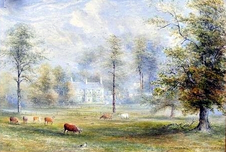 Ivedon Pen, Honiton