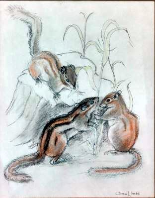 Three Chipmunks